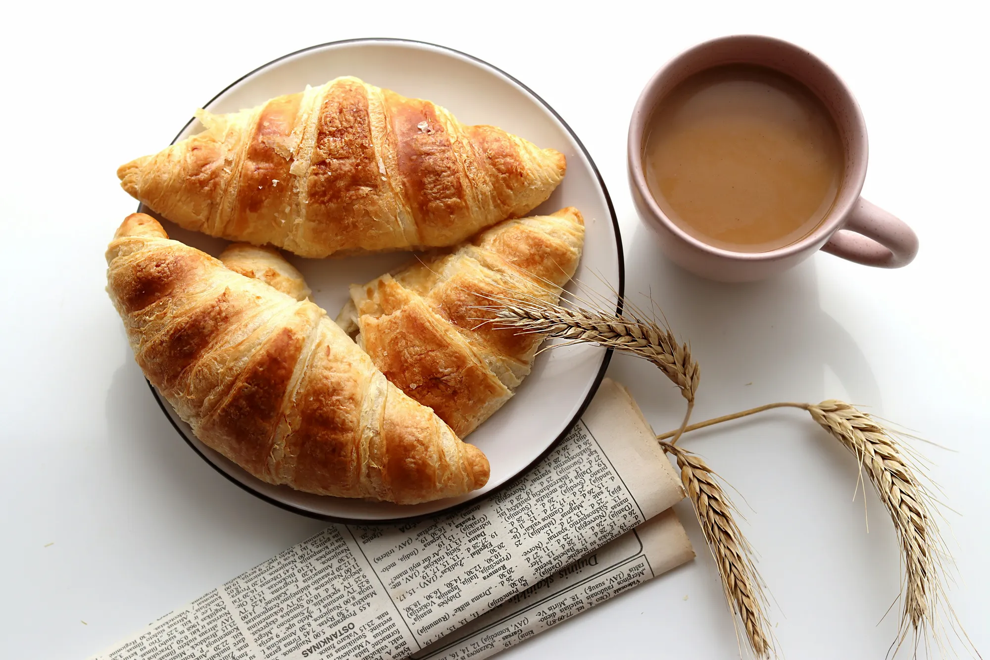 Blog & News